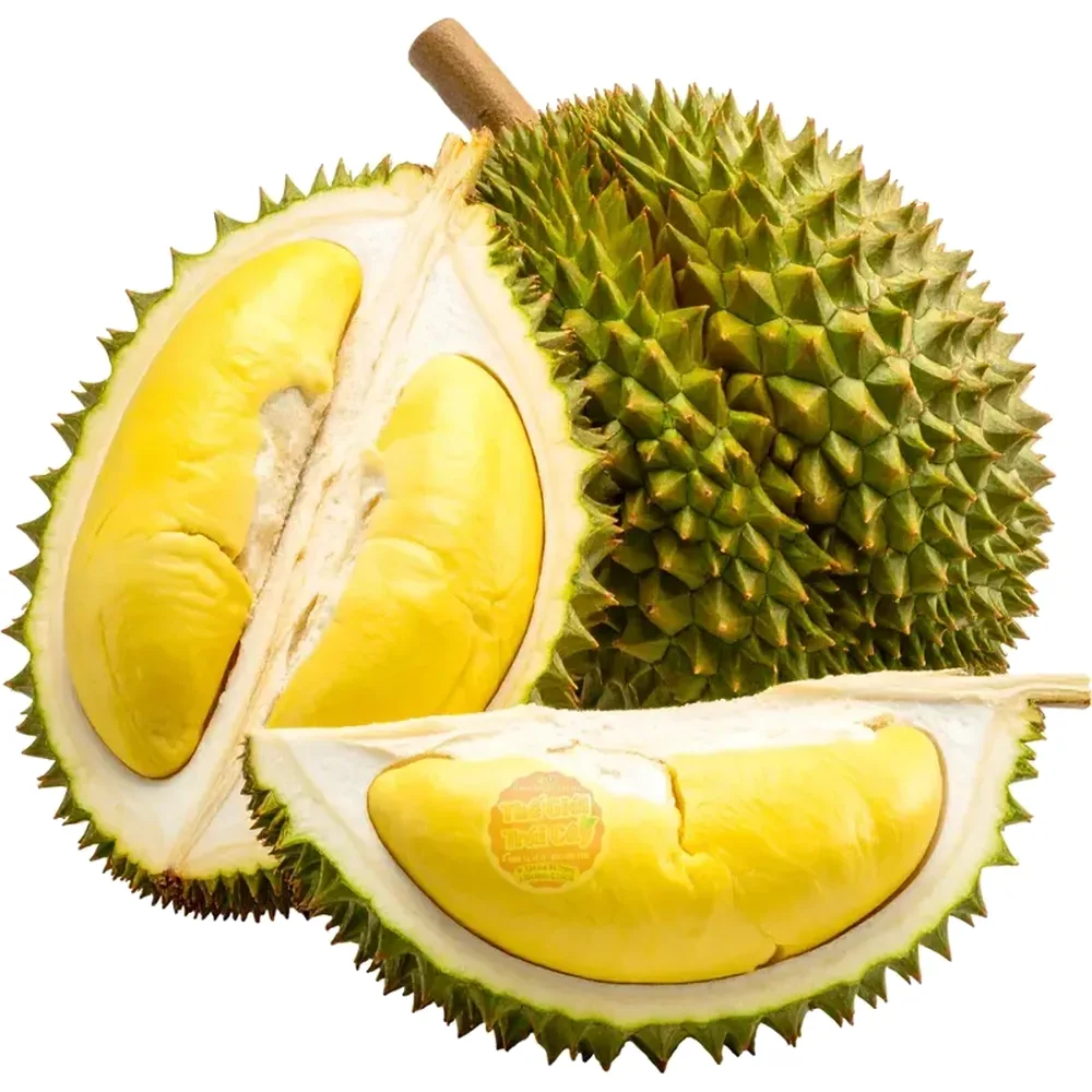 Sầu riêng Ri6